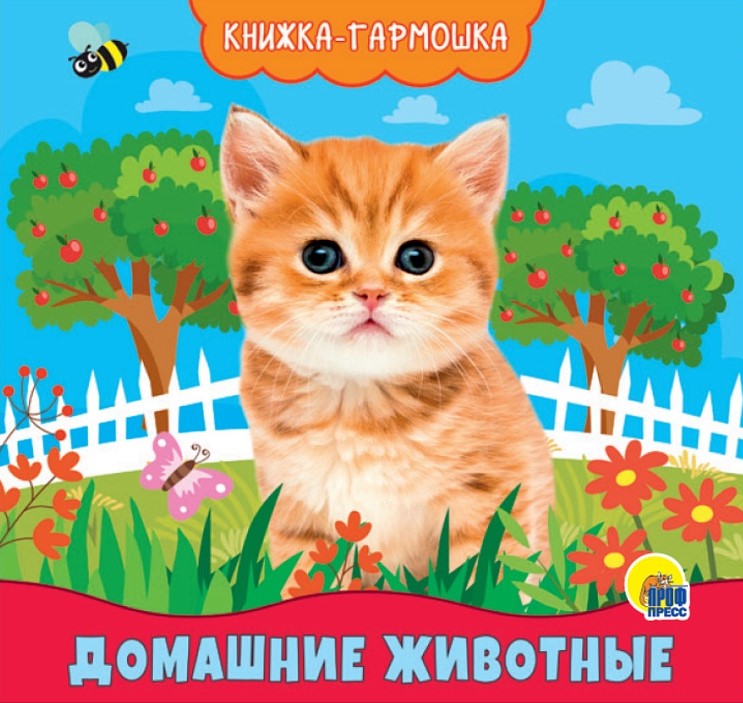 Zwierzęta domowe