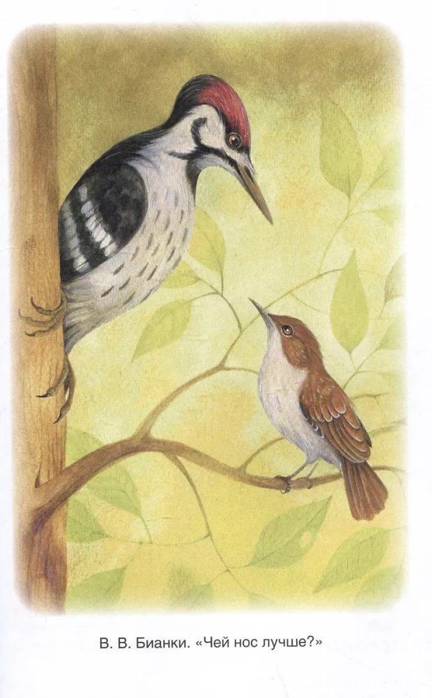 Anthology for Grades 1-4. The Best Stories about Animals
