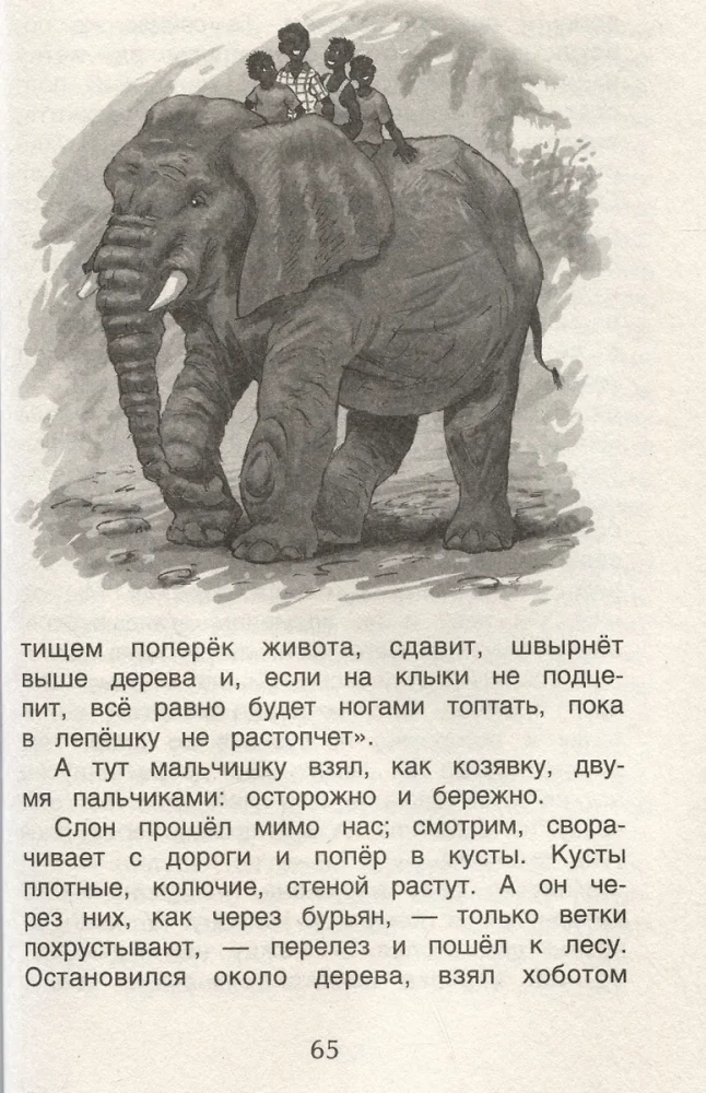 Anthology for Grades 1-4. The Best Stories about Animals
