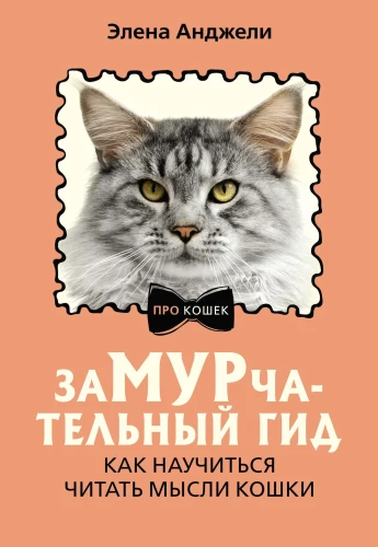 Meow-velous Guide. How to Learn to Read a Cat's Mind