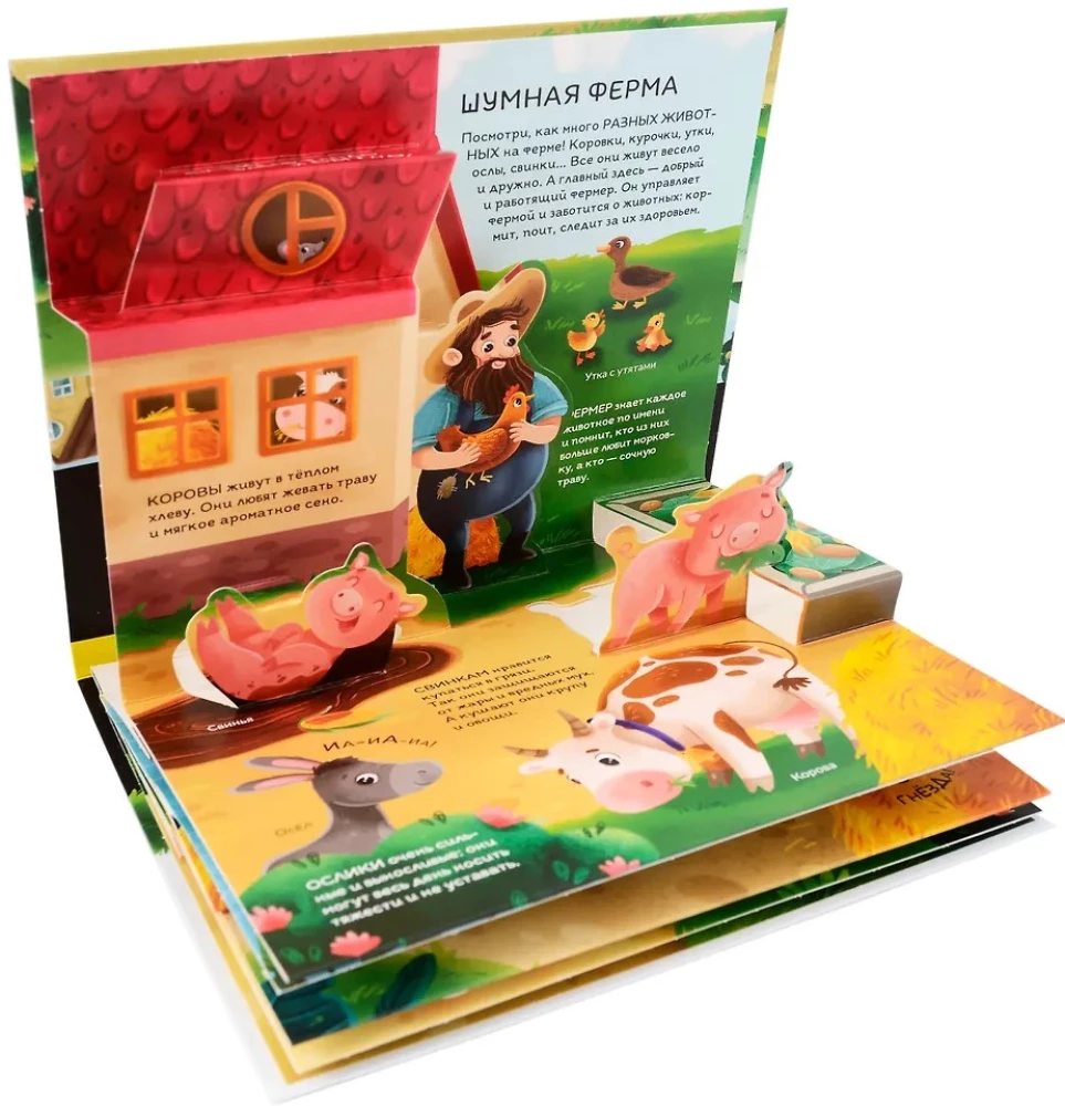 Dinozaury. Kosmos. Samochody. Dzikie zwierzęta. Zwierzęta domowe. Anatomia (6 książek z objętościowymi ilustracjami POP-UP)