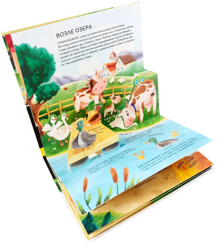 Dinozaury. Kosmos. Samochody. Dzikie zwierzęta. Zwierzęta domowe. Anatomia (6 książek z objętościowymi ilustracjami POP-UP)