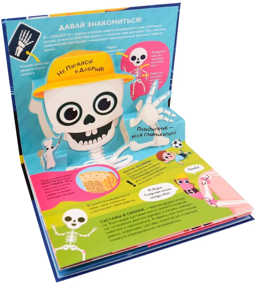 Dinozaury. Kosmos. Samochody. Dzikie zwierzęta. Zwierzęta domowe. Anatomia (6 książek z objętościowymi ilustracjami POP-UP)