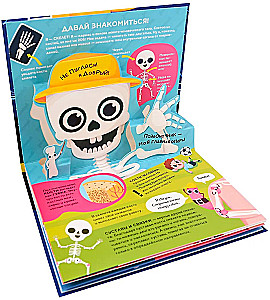 Dinozaury. Kosmos. Samochody. Dzikie zwierzęta. Zwierzęta domowe. Anatomia (6 książek z objętościowymi ilustracjami POP-UP)