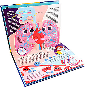 Dinozaury. Kosmos. Samochody. Dzikie zwierzęta. Zwierzęta domowe. Anatomia (6 książek z objętościowymi ilustracjami POP-UP)