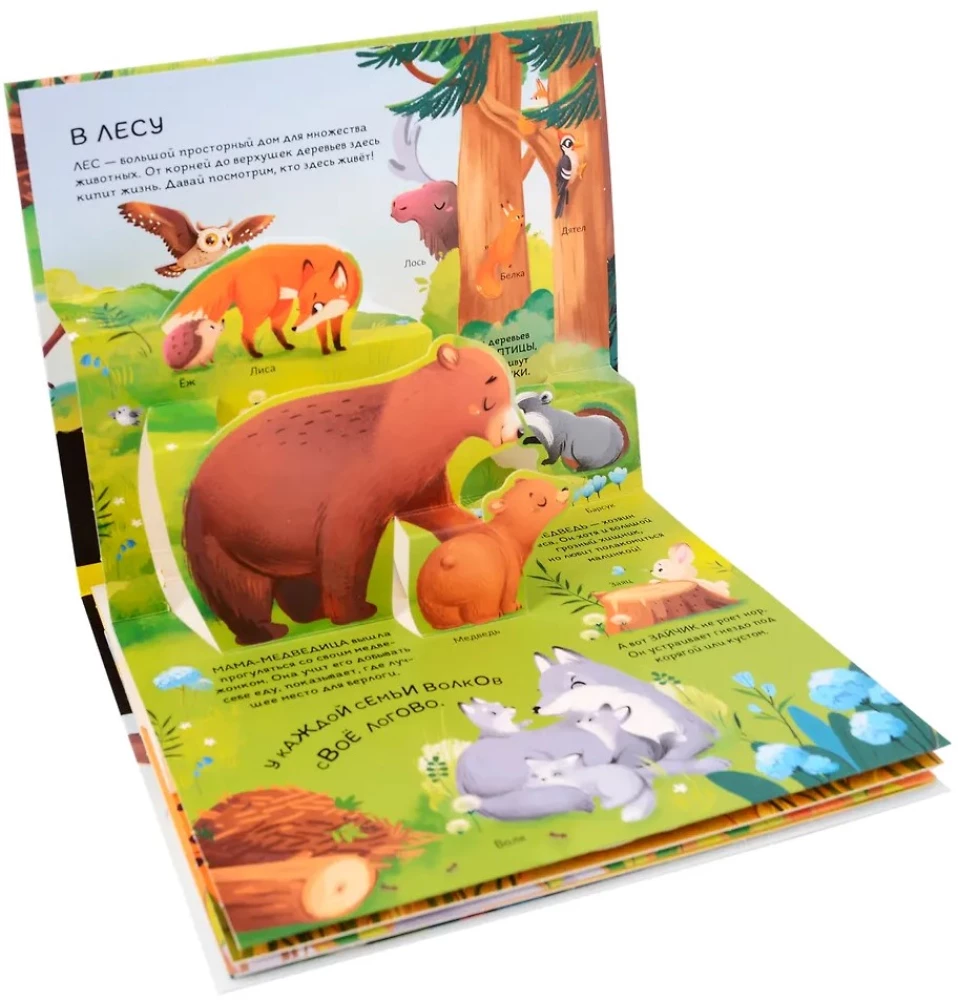 Dinozaury. Kosmos. Samochody. Dzikie zwierzęta. Zwierzęta domowe. Anatomia (6 książek z objętościowymi ilustracjami POP-UP)