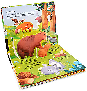 Dinozaury. Kosmos. Samochody. Dzikie zwierzęta. Zwierzęta domowe. Anatomia (6 książek z objętościowymi ilustracjami POP-UP)
