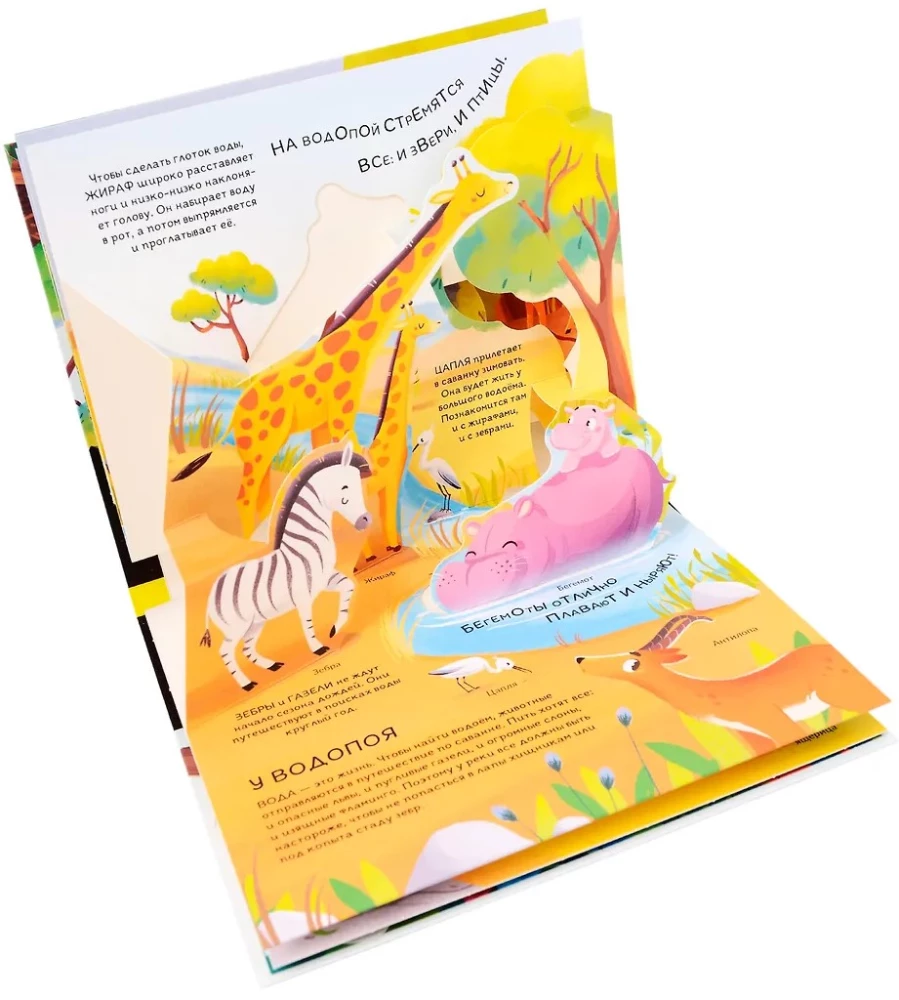 Dinozaury. Kosmos. Samochody. Dzikie zwierzęta. Zwierzęta domowe. Anatomia (6 książek z objętościowymi ilustracjami POP-UP)