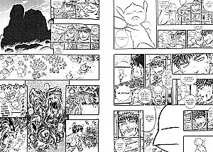 Berserk. Tom 9