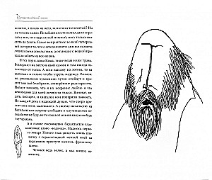 Whirlwinds of Shishov Lane. Vasilievsky Island Parables