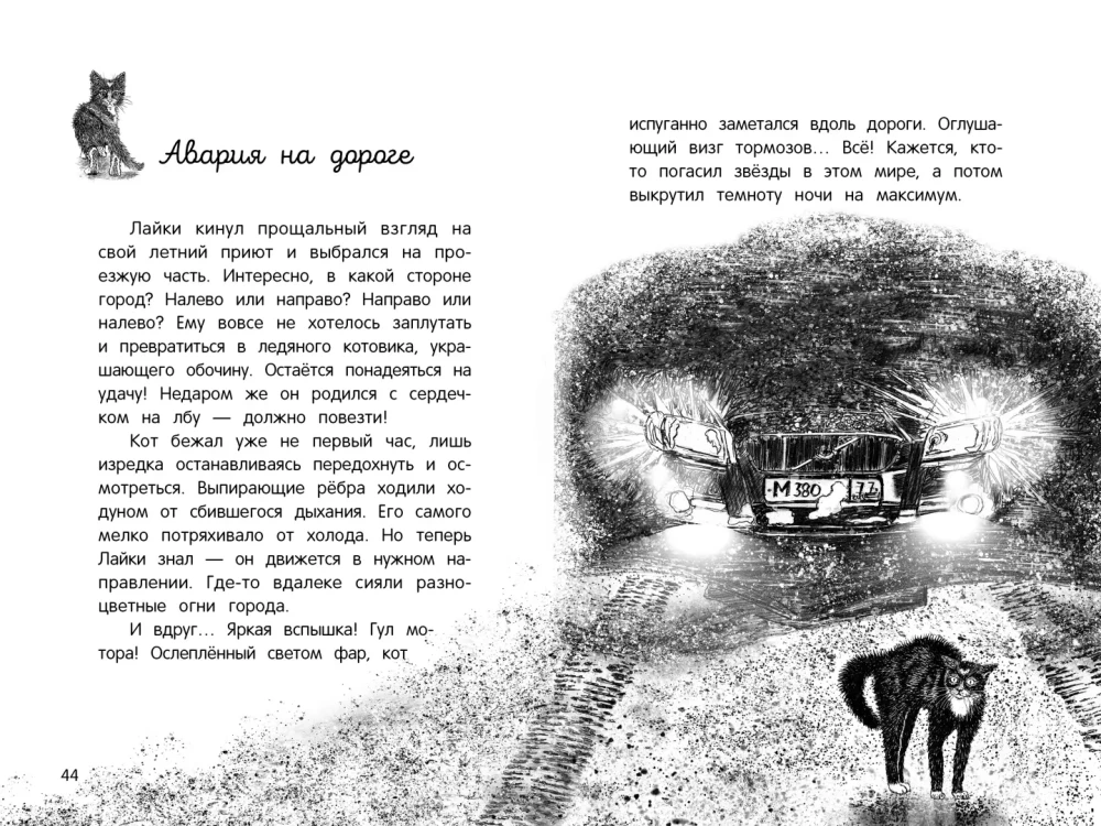 A Long Way Home