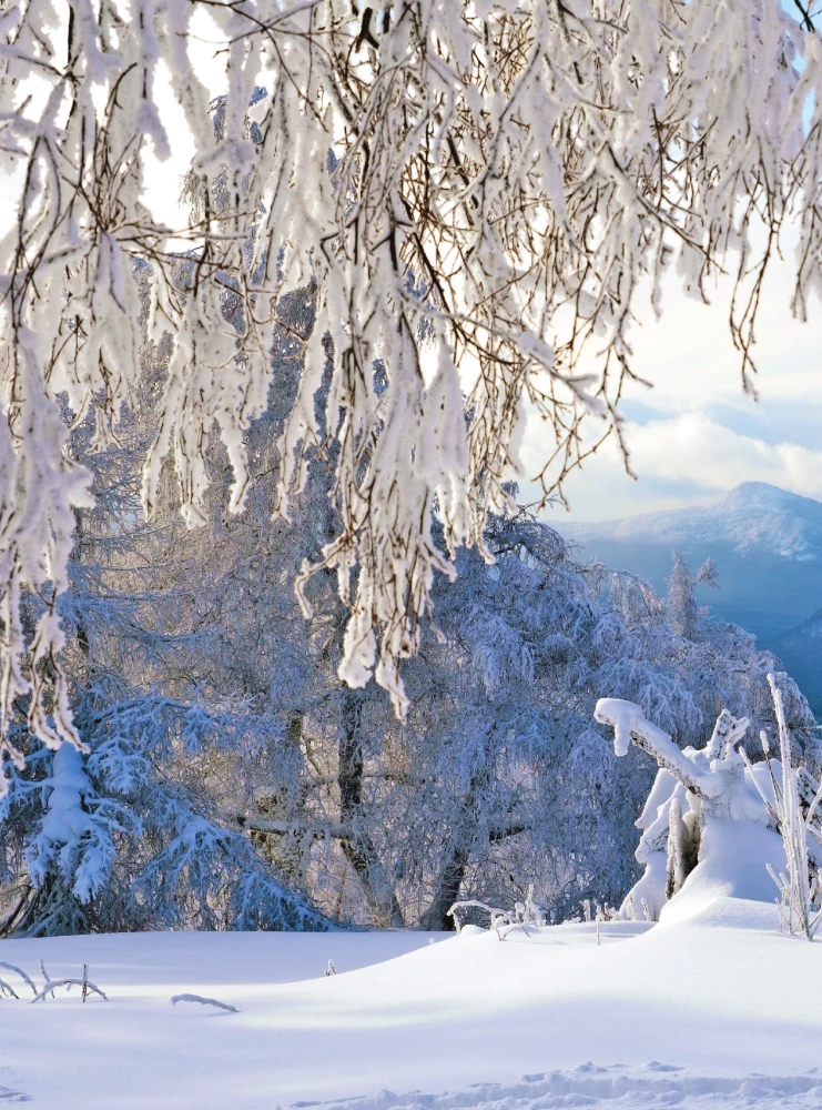 Ural - malachitowa szkatułka Rosji. Historia, tradycje, kulturowe i przyrodnicze atrakcje regionu