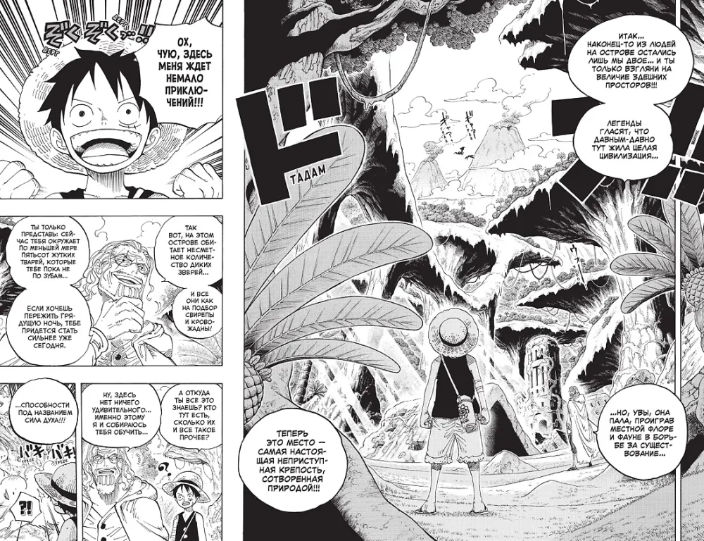 One Piece. Wielki skarb. Książka 21. Na progu przygód. Nowy Świat