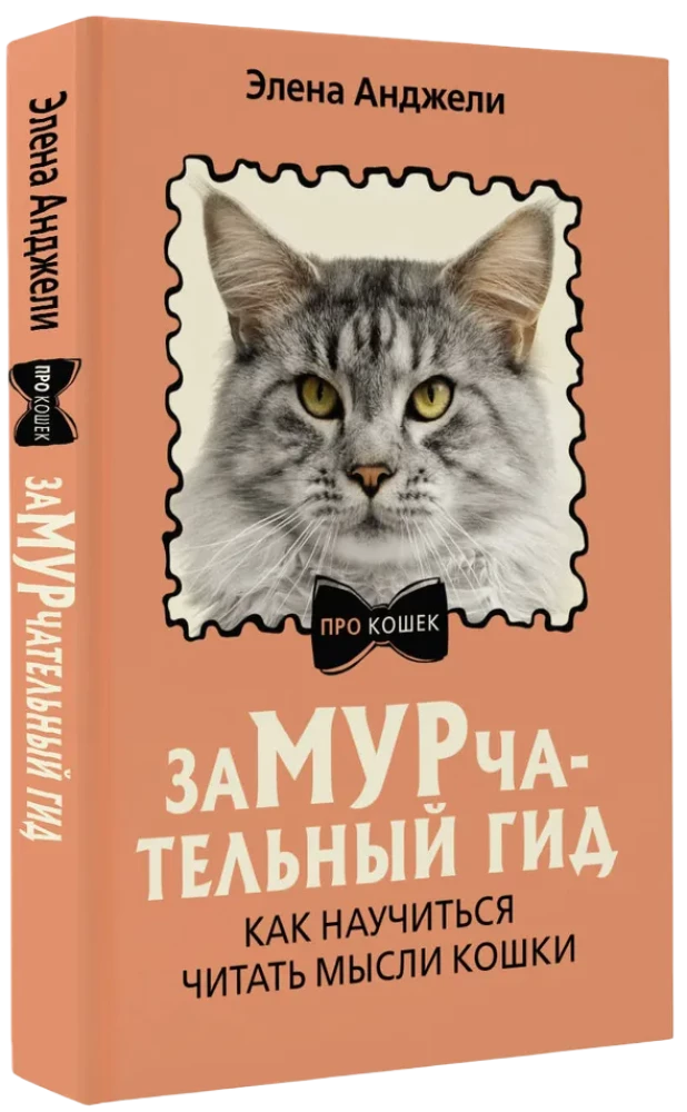 Meow-velous Guide. How to Learn to Read a Cat's Mind