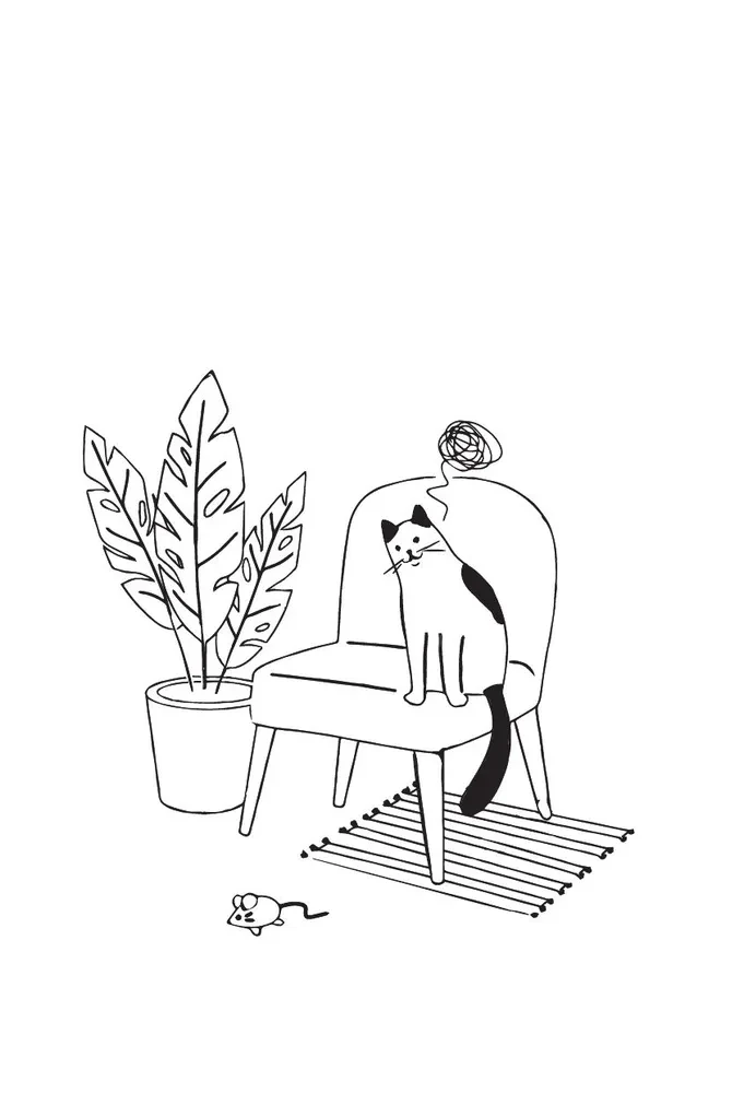 Meow-velous Guide. How to Learn to Read a Cat's Mind