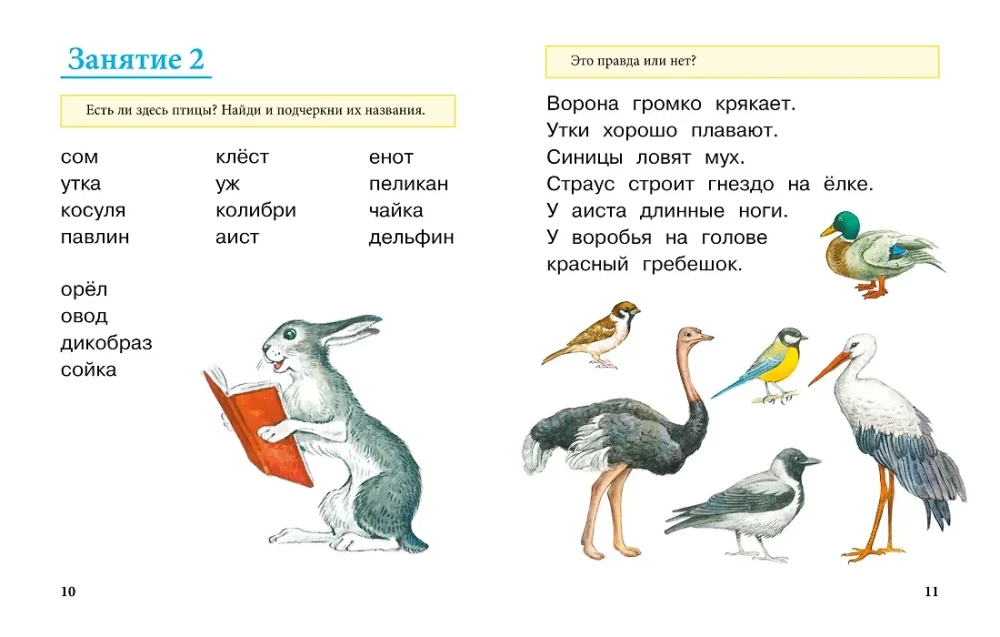 Learning to Read