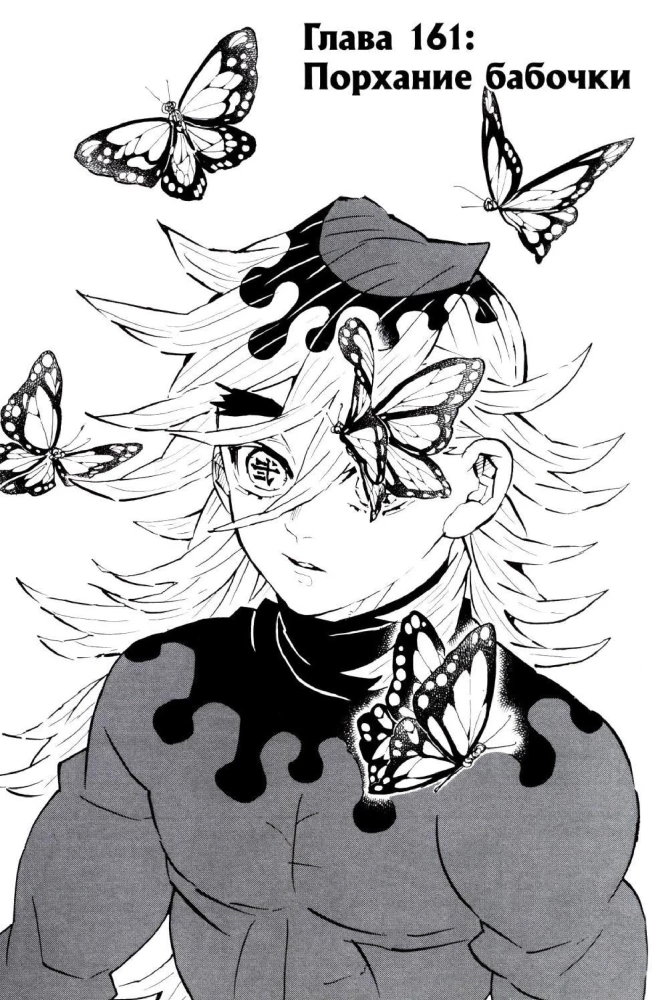 Demon Slayer. Volume 19. The Butterfly's Flutter