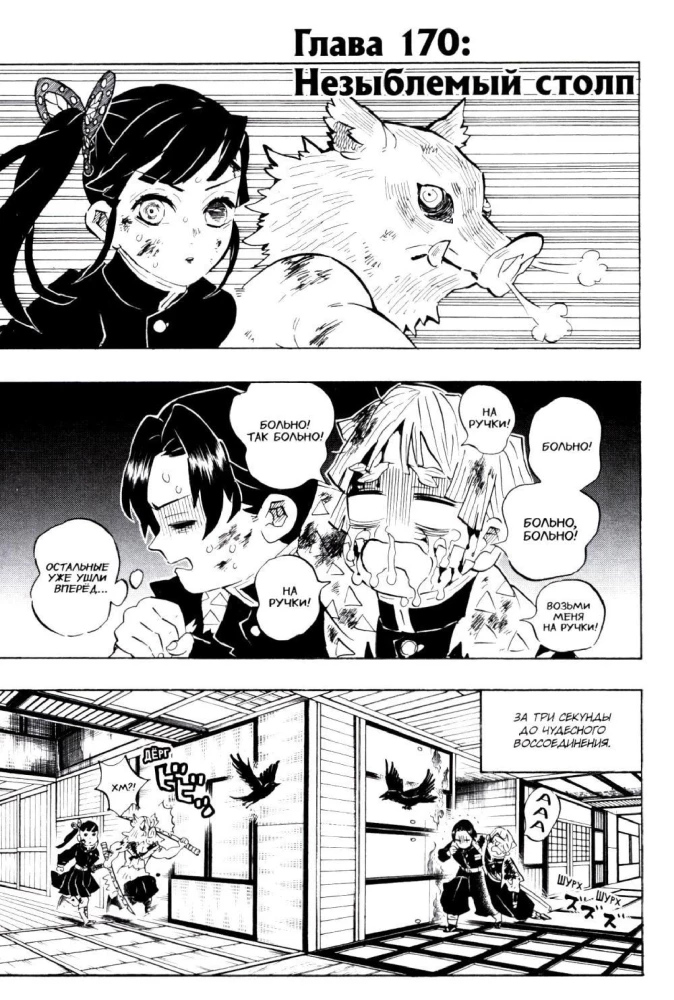 Demon Slayer. Volume 20. The Path Paved by Convictions