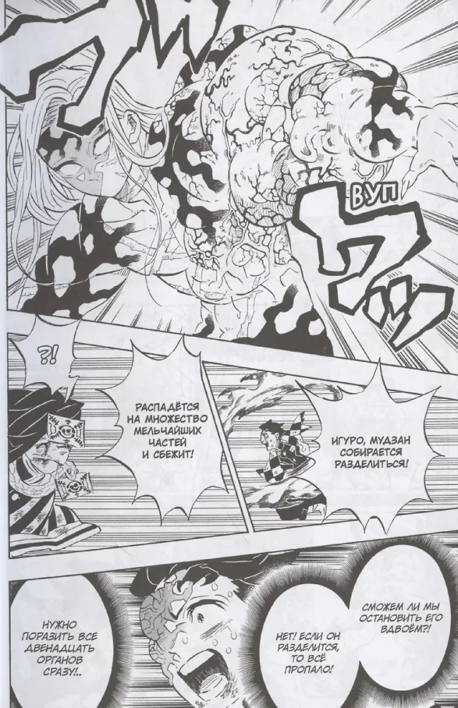 Demon Slayer. Volume 22. The Cycle of Fates