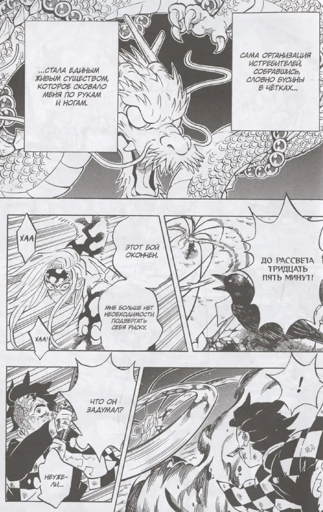 Demon Slayer. Volume 22. The Cycle of Fates