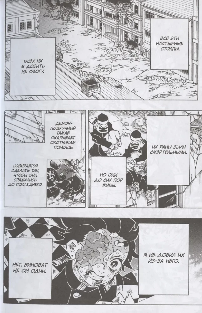 Demon Slayer. Volume 22. The Cycle of Fates