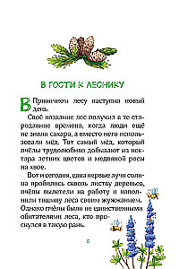 Лесные герои. Куда ведут бабочки