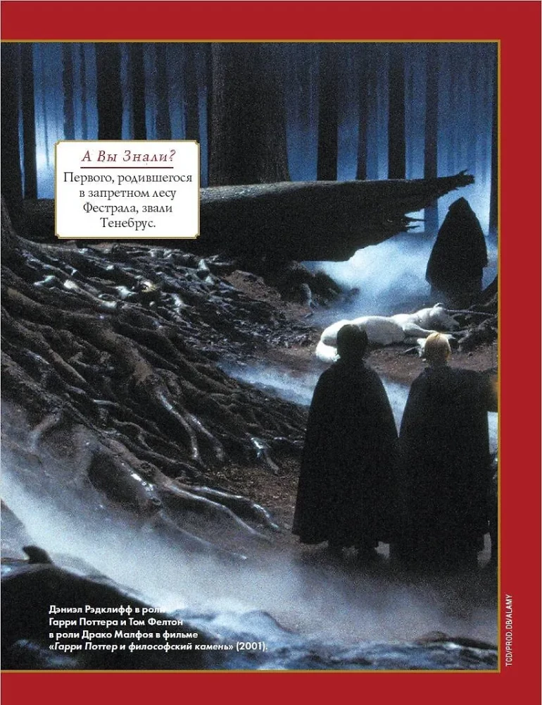 The Best Puzzles in the Magical World of Harry Potter