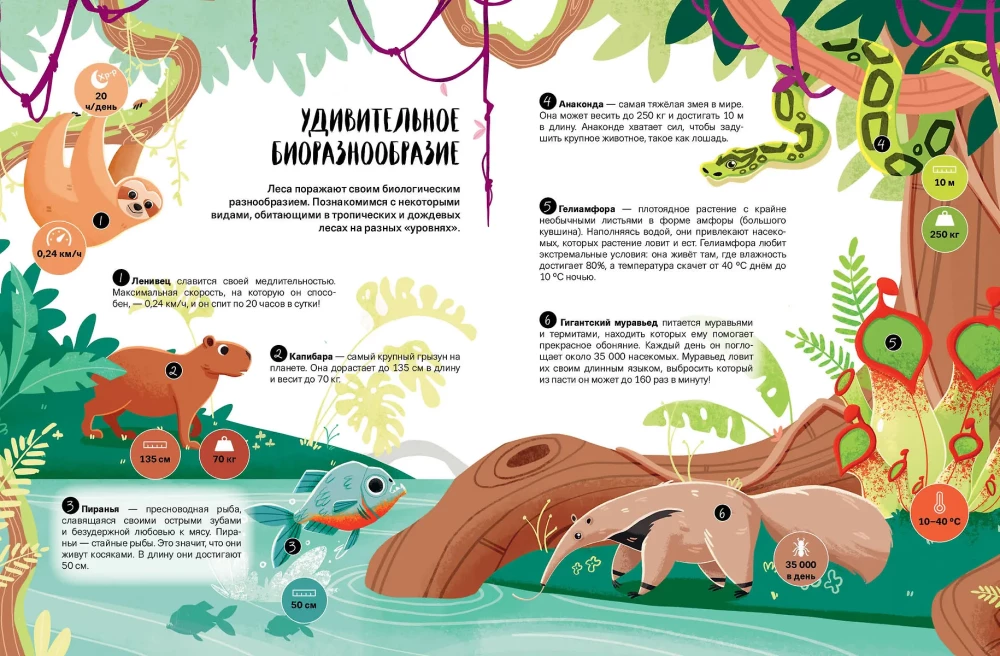 Co? Jak? Dlaczego? Moje pierwsze wiadomości o planecie Ziemi