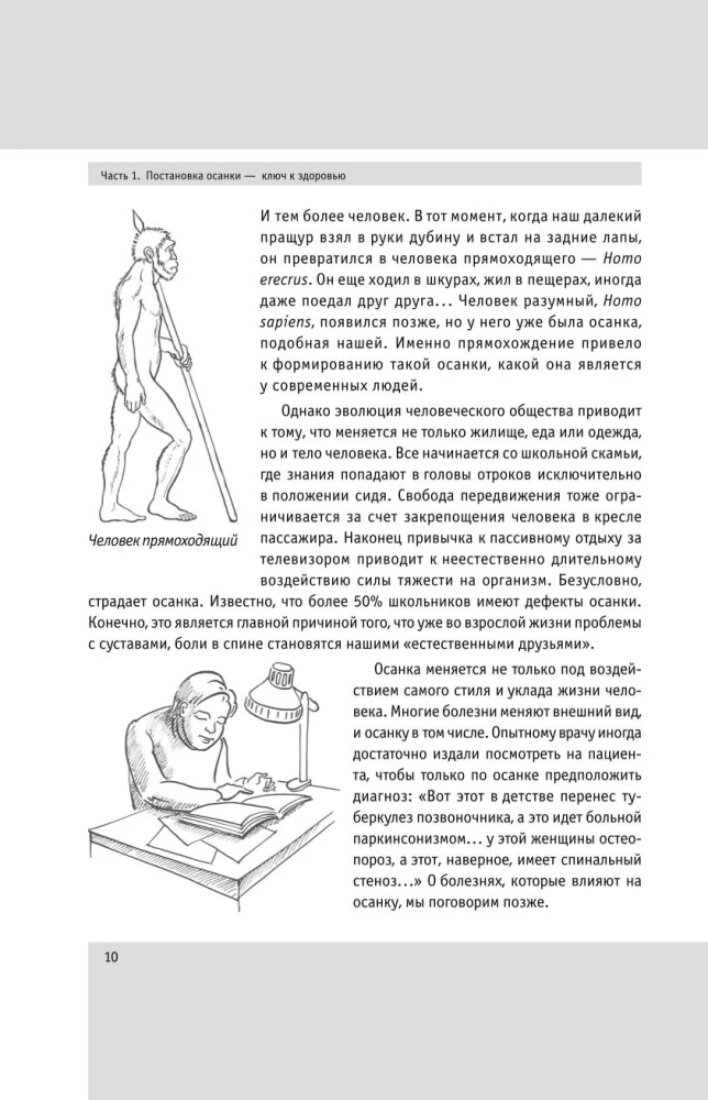 Система Живая осанка. Здоровье позвоночника и суставов