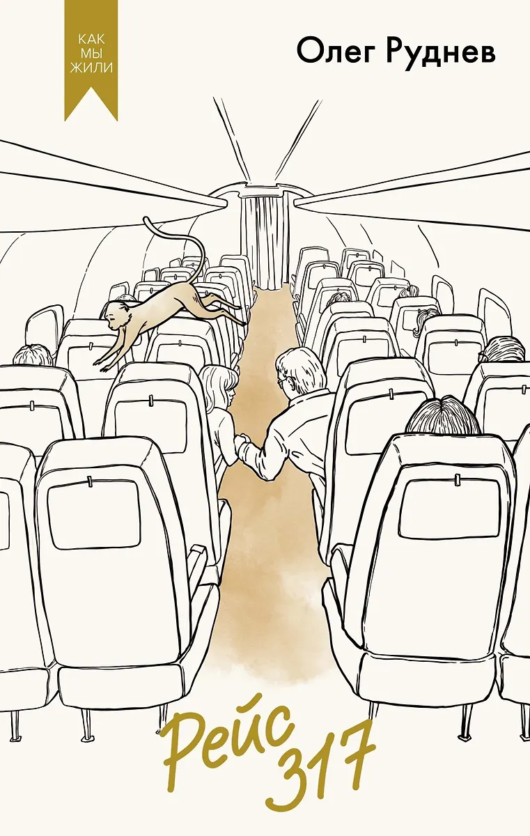 Flug 317
