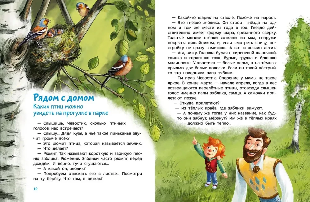 Ptaki. Dziecięca encyklopedia