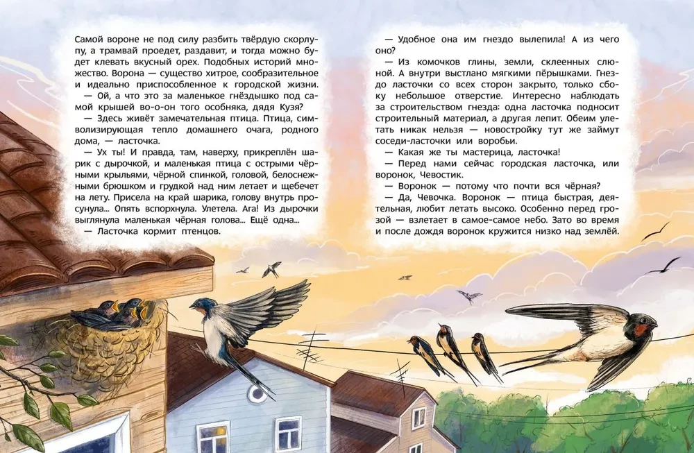 Ptaki. Dziecięca encyklopedia