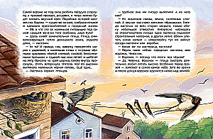 Ptaki. Dziecięca encyklopedia