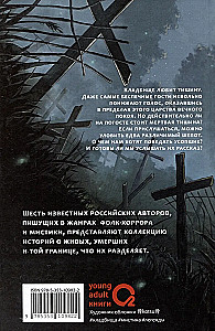 Шёпот в тишине. Коллекция мистических историй
