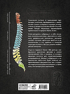 Anatomy of Abrahams. Atlas Coloring Book