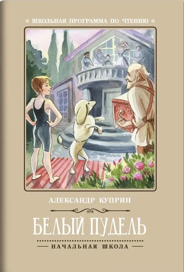 Biały pudel.