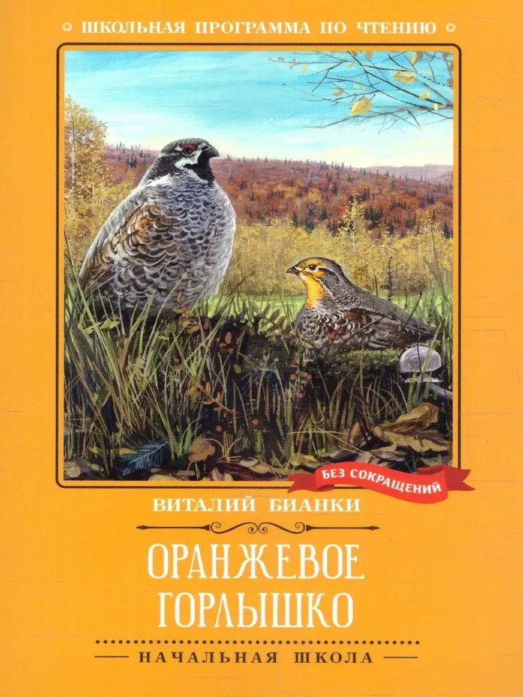 Oranžinė Kaklelis