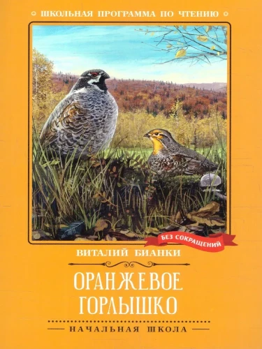 Oranžinė Kaklelis