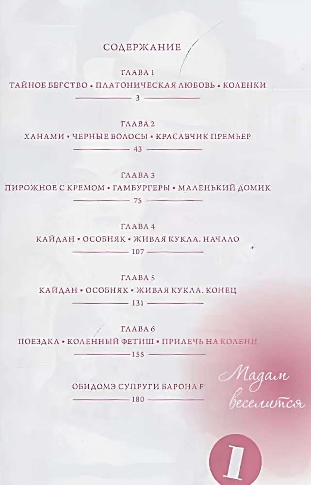 Madam Is Having Fun. Volume 1