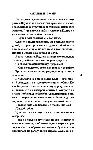 Naruszyciel zasad