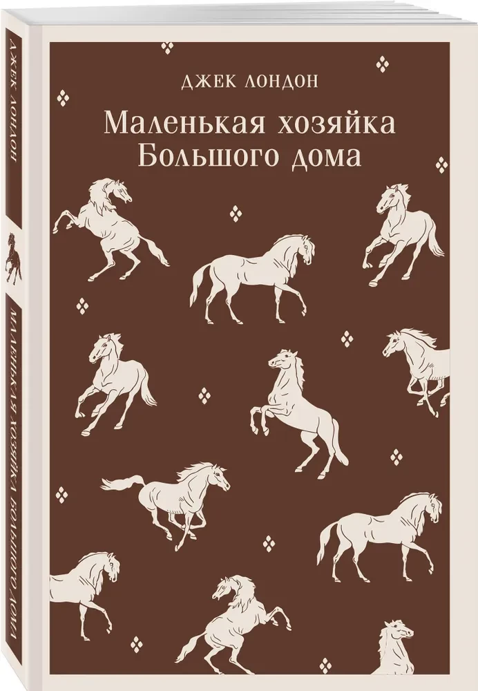 Mała pani Wielkiego domu