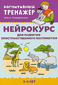 Нейрокурс для развития пространственного восприятия. 5-6 лет
