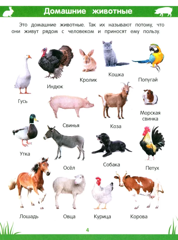 Encyclopedia of Preschoolers. 3-4 years