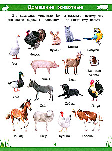 Encyclopedia of Preschoolers. 3-4 years