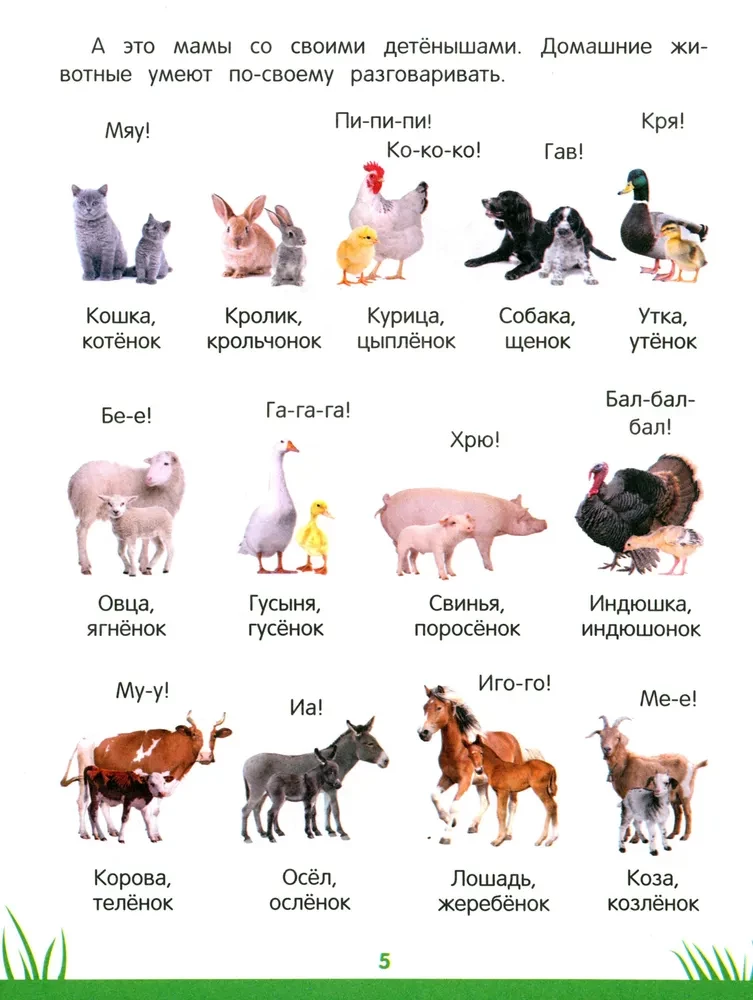Encyclopedia of Preschoolers. 3-4 years