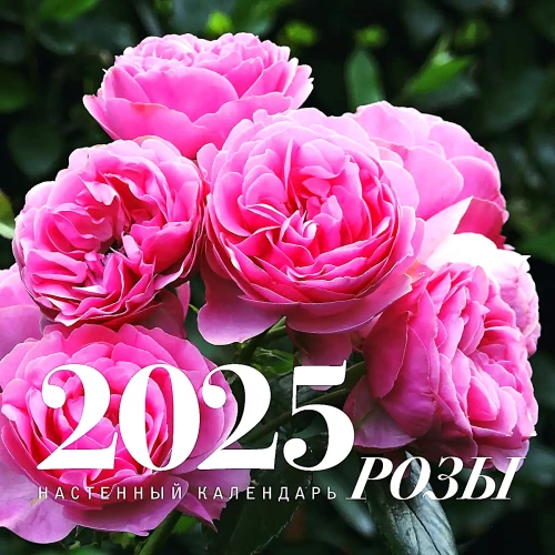 Roses. Wall calendar for 2025