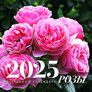 Roses. Wall calendar for 2025