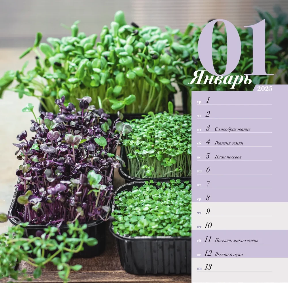 Gardener's Calendar with Folk Signs for 2025