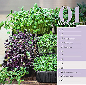 Gardener's Calendar with Folk Signs for 2025