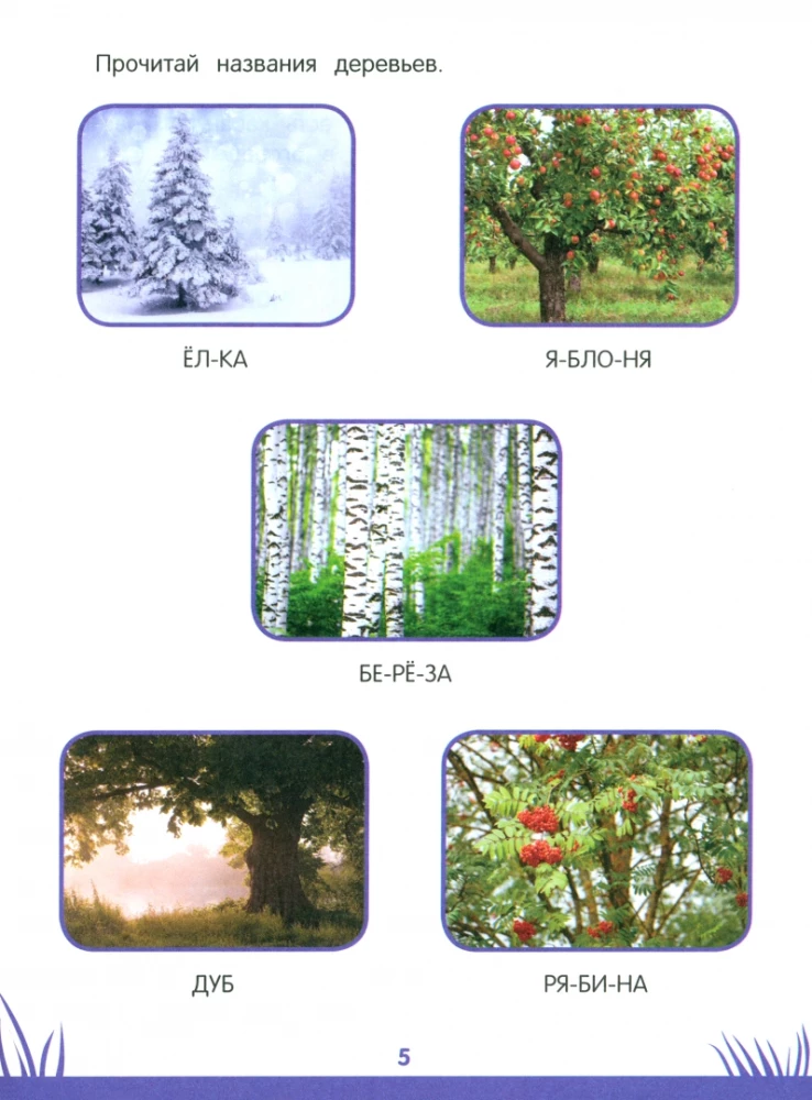 Preschool Encyclopedia. 5-6 Years